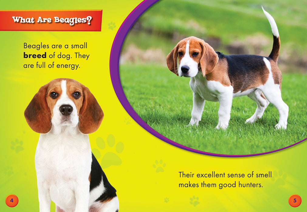 Beagles