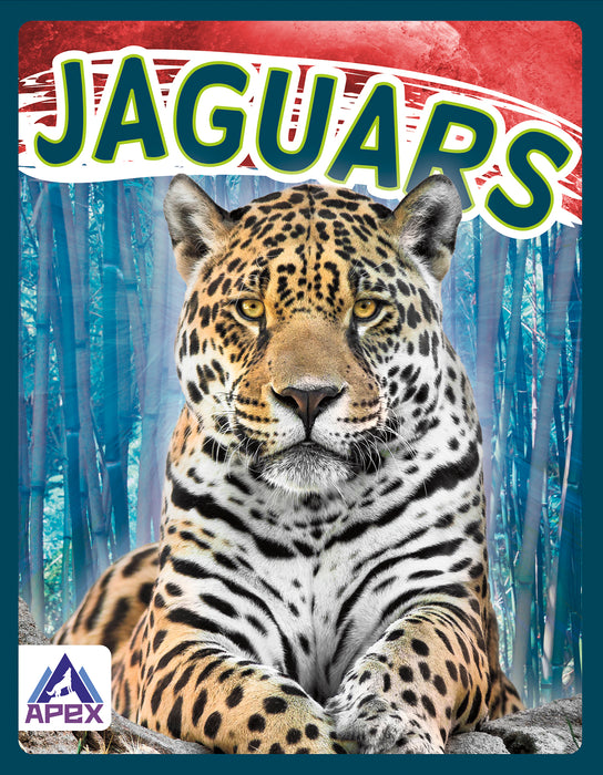 Jaguars