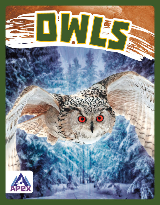 Owls