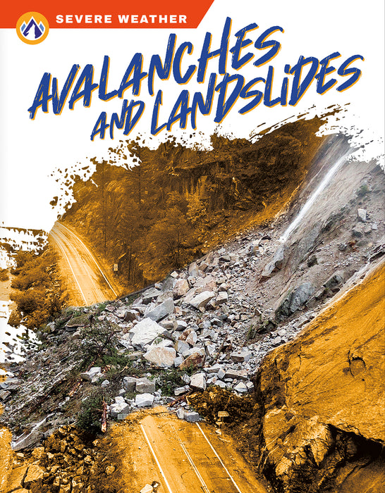 Avalanches and Landslides