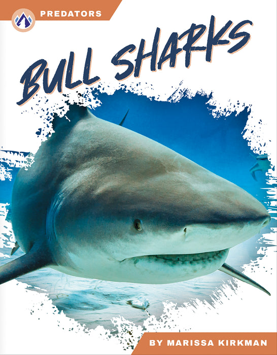 Bull Sharks