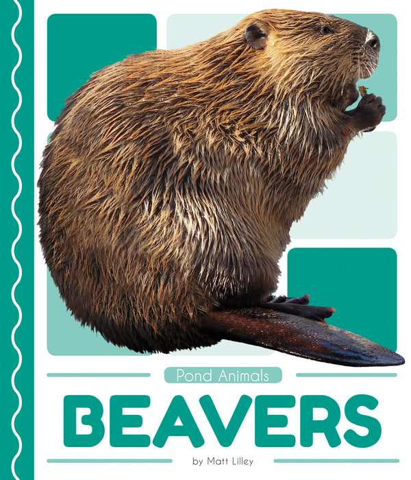 Beavers