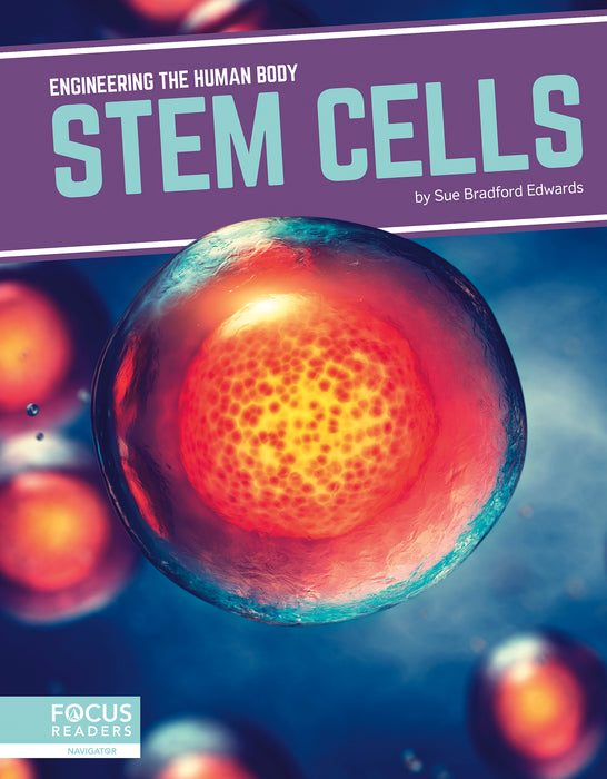 Stem Cells