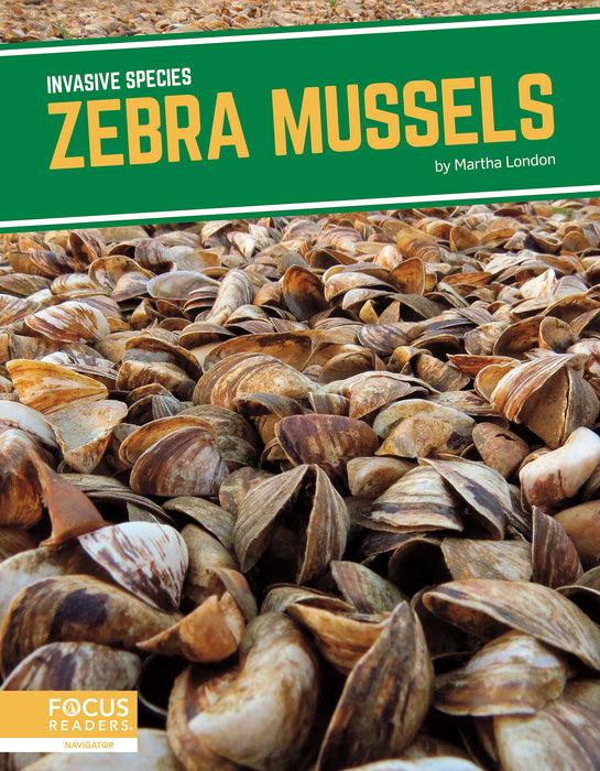 Zebra Mussels