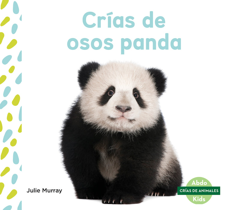 Crías de osos panda (Panda Cubs)