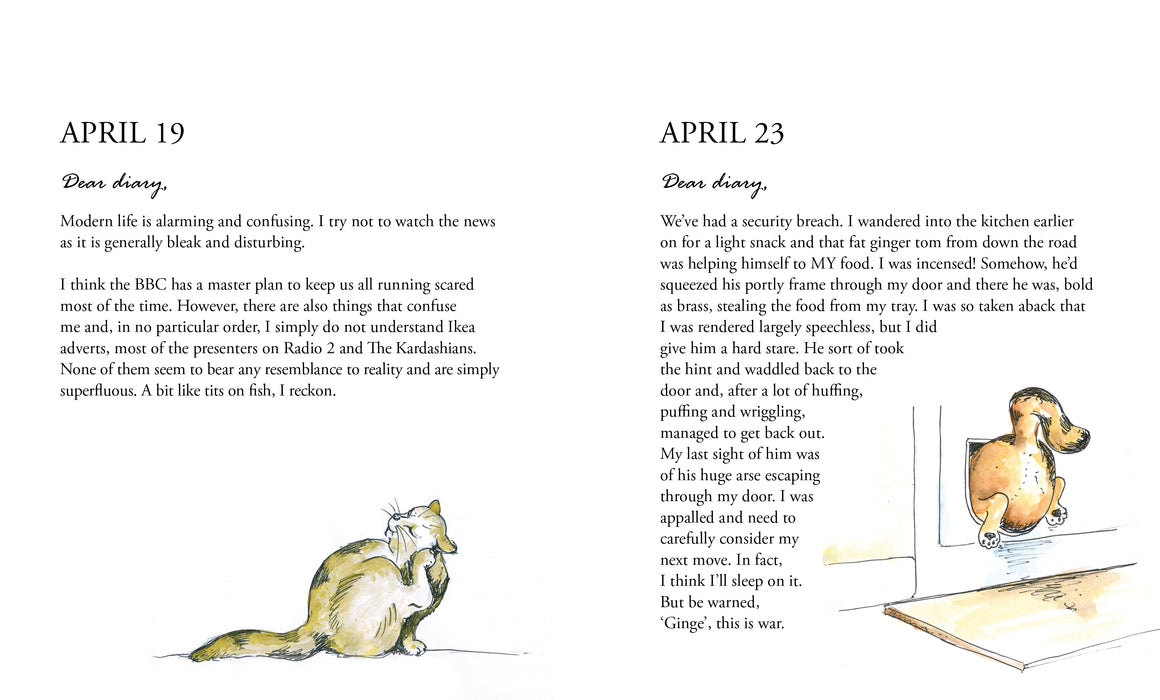 The Secret Diary of Chumleigh the Cat