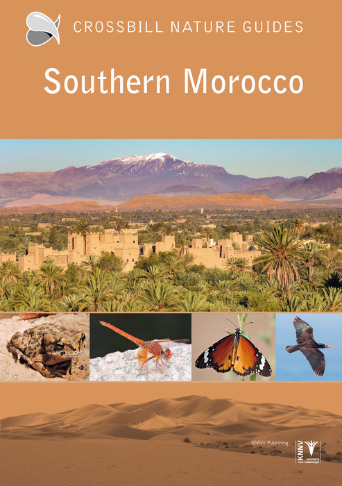 Southern Morocco