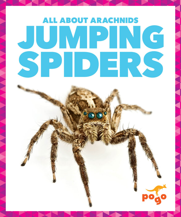 Jumping Spiders