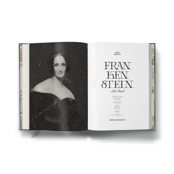 Frankenstein Art Novel