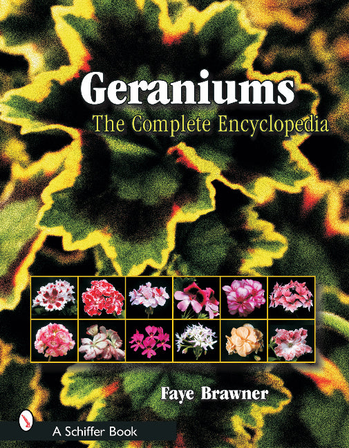 Geraniums