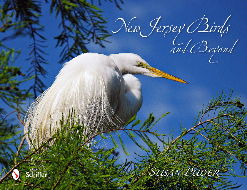 New Jersey Birds and Beyond