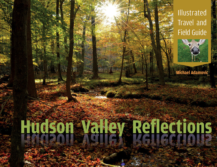 Hudson Valley Reflections