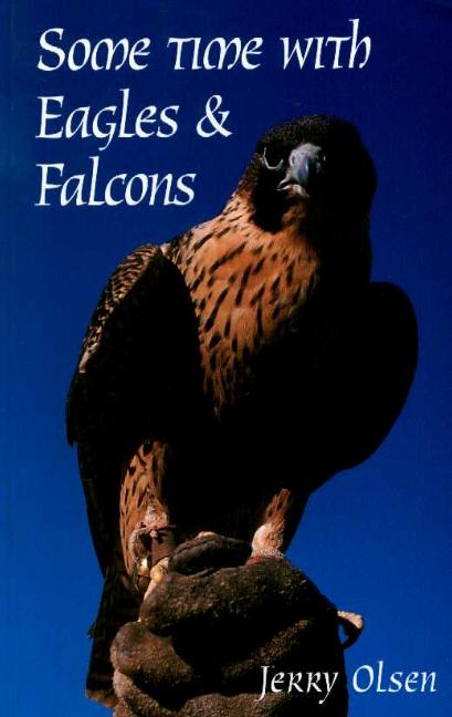 Some Time with Eagles & Falcons