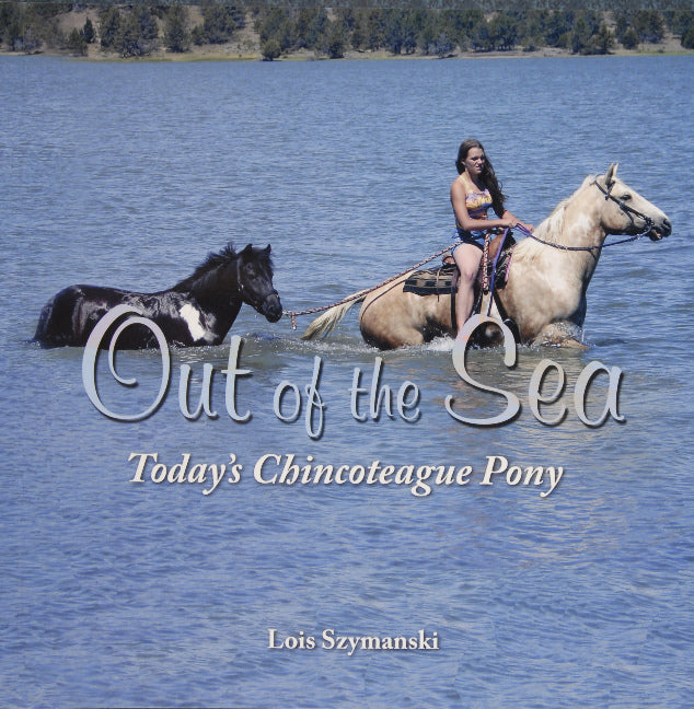 Out of the Sea, Todayâs Chincoteague Pony