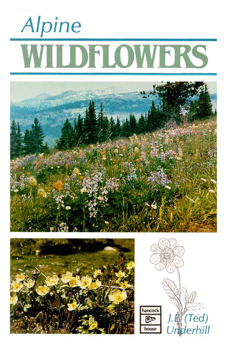 Alpine Wildflowers