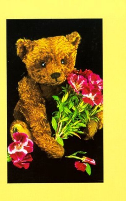 Teddy Bear Collector's Journal
