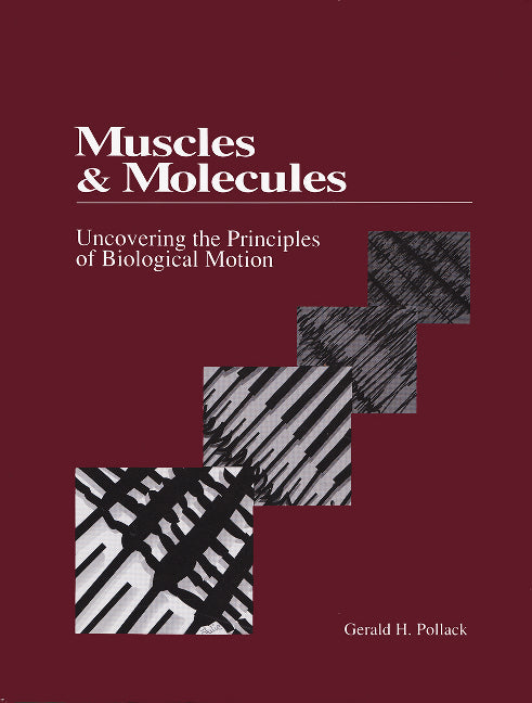 Muscles & Molecules