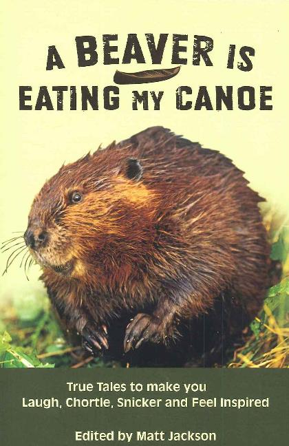 A Beaver is Eating My Canoe