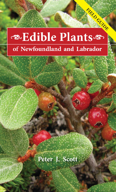 Edible Plants of Newfoundland & Labrador