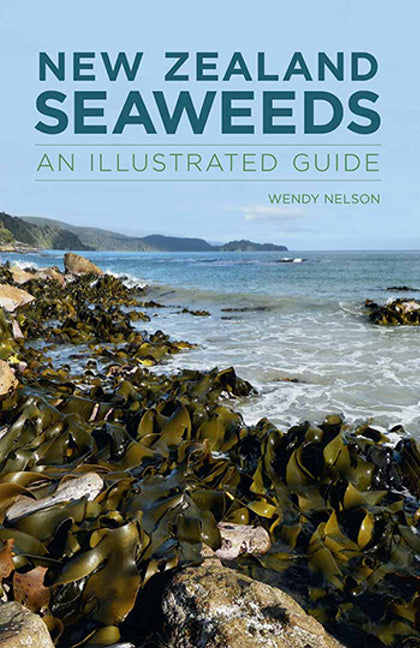 New Zealand Seaweeds