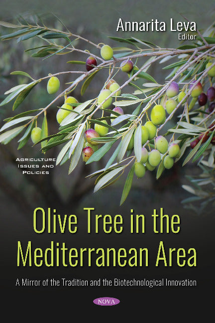 Olive Tree in the Mediterranean Area