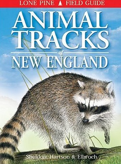 Animal Tracks of New England
