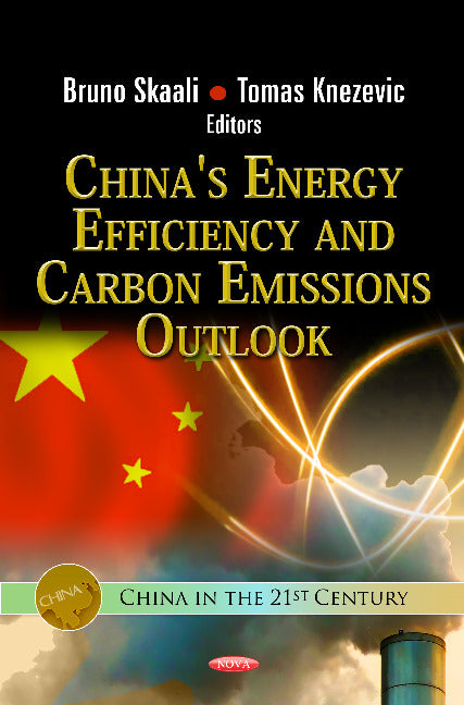 China's Energy Efficiency & Carbon Emissions Outlook
