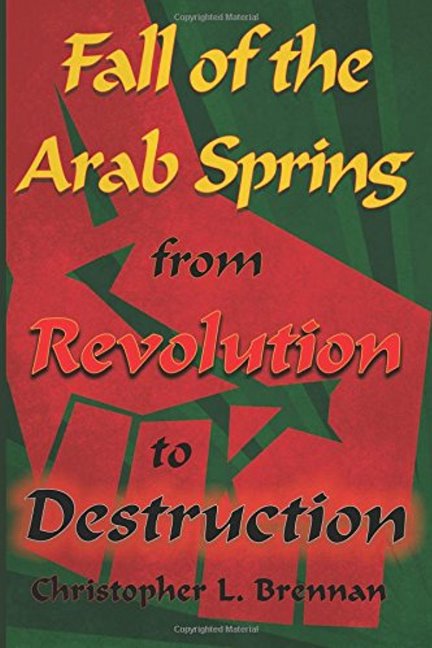 Fall of the Arab Spring