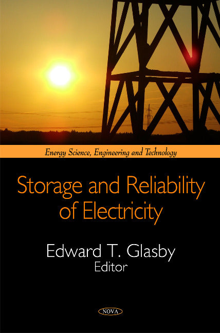 Storage & Reliability of Electricity