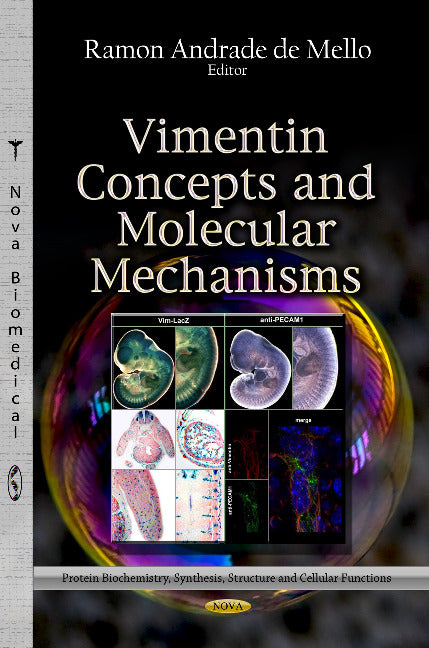 Vimentin Concepts & Molecular Mechanisms