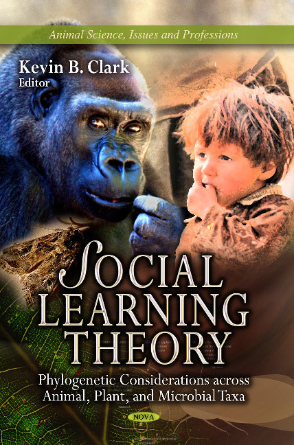 Social Learning Theory