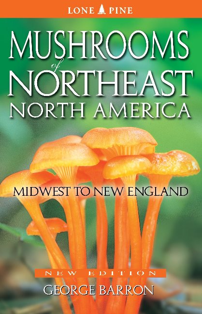Mushrooms of Northeast North America