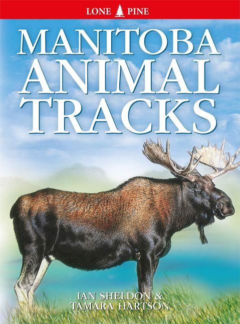 Manitoba Animal Tracks