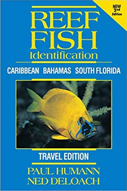 Reef Fish Identification -- Travel Edition