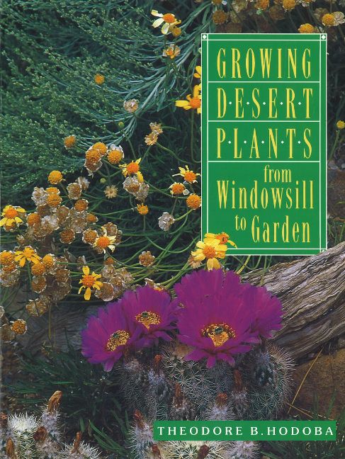 Growing Desert Plants