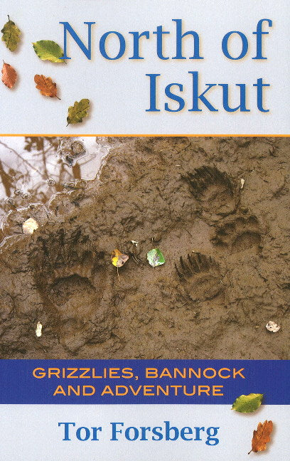 North of Iskut