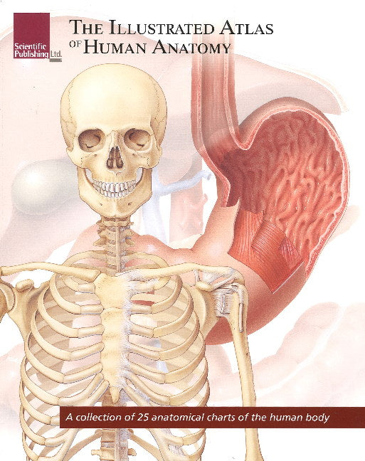 Illustrated Atlas of Human Anatomy