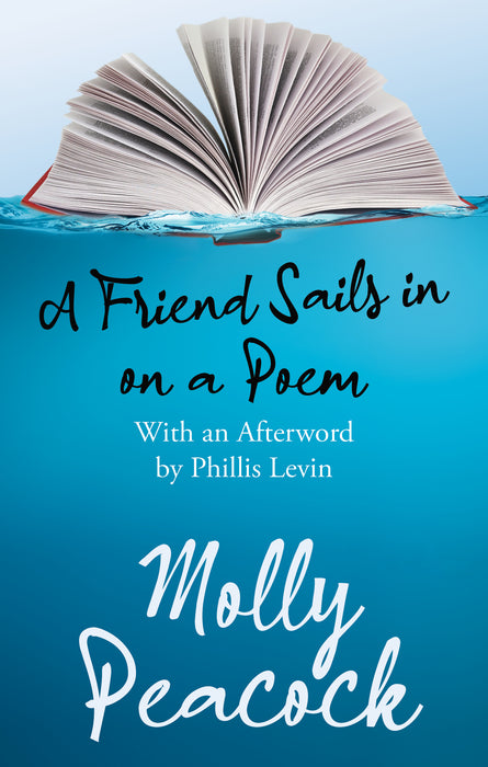 A Friend Sails in on a Poem