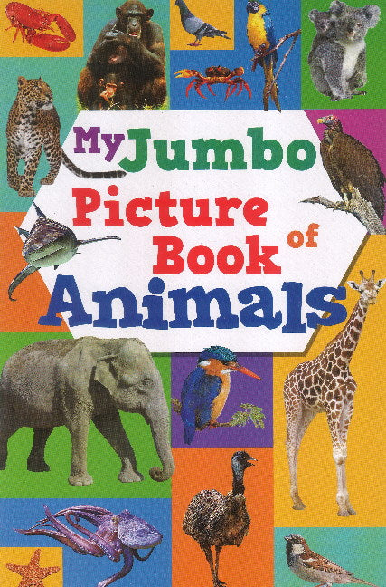 My Jumbo Picture Book of Animals