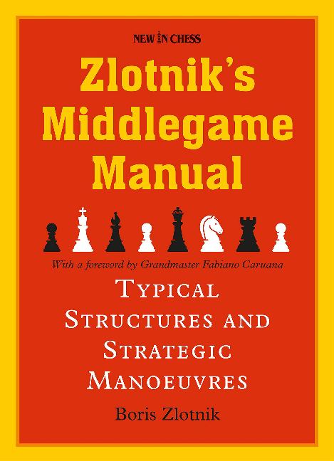 Zlotniks Middlegame Manual