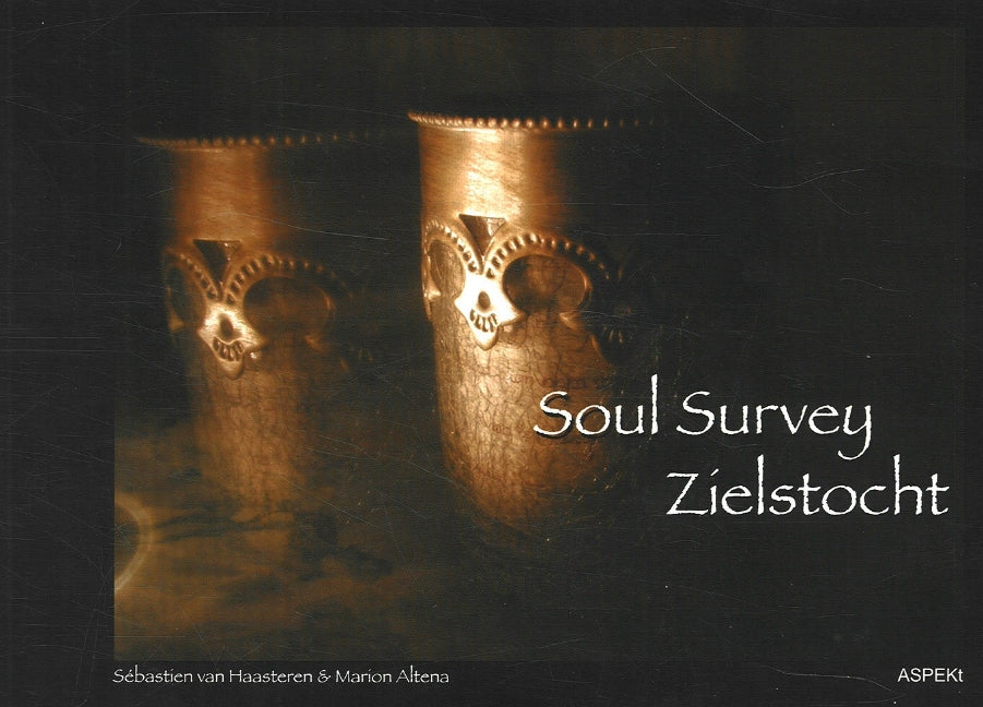 Soul Survey / Zielstocht