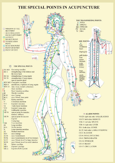 Special Points in Acupunture -- A4