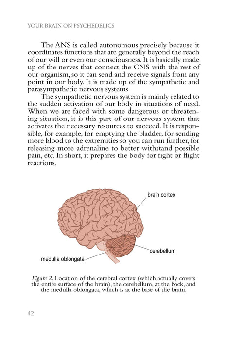 Your brain on psychedelics